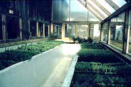 A gray water greenhouse in Massachusetts, supplied by a Clivus gray water system.