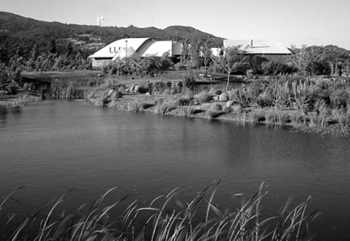 Living Pond with aquatic plants, for wildlife habitat, swimming, water storage for irrigation