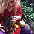 Permaculture agroforestry harvest.