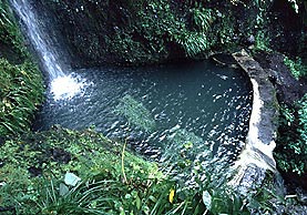 Rain water runoff catchment harvesting dam with filter.