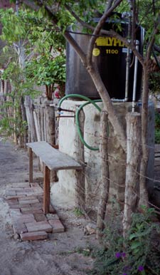 Public potable water system tap on street.