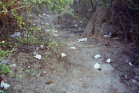 Field defecation.