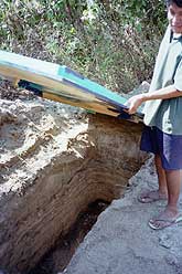 Plywood latrine cover and hole underneath.