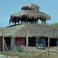 Tortugero at Maruata