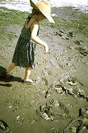 Sediment from first river flush.
