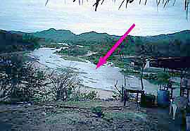 Feces contaminated river in flood.