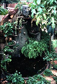 Reverse Osmosis reject water fed garden fountain.