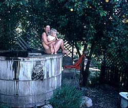 Redwood cold plunge pool.